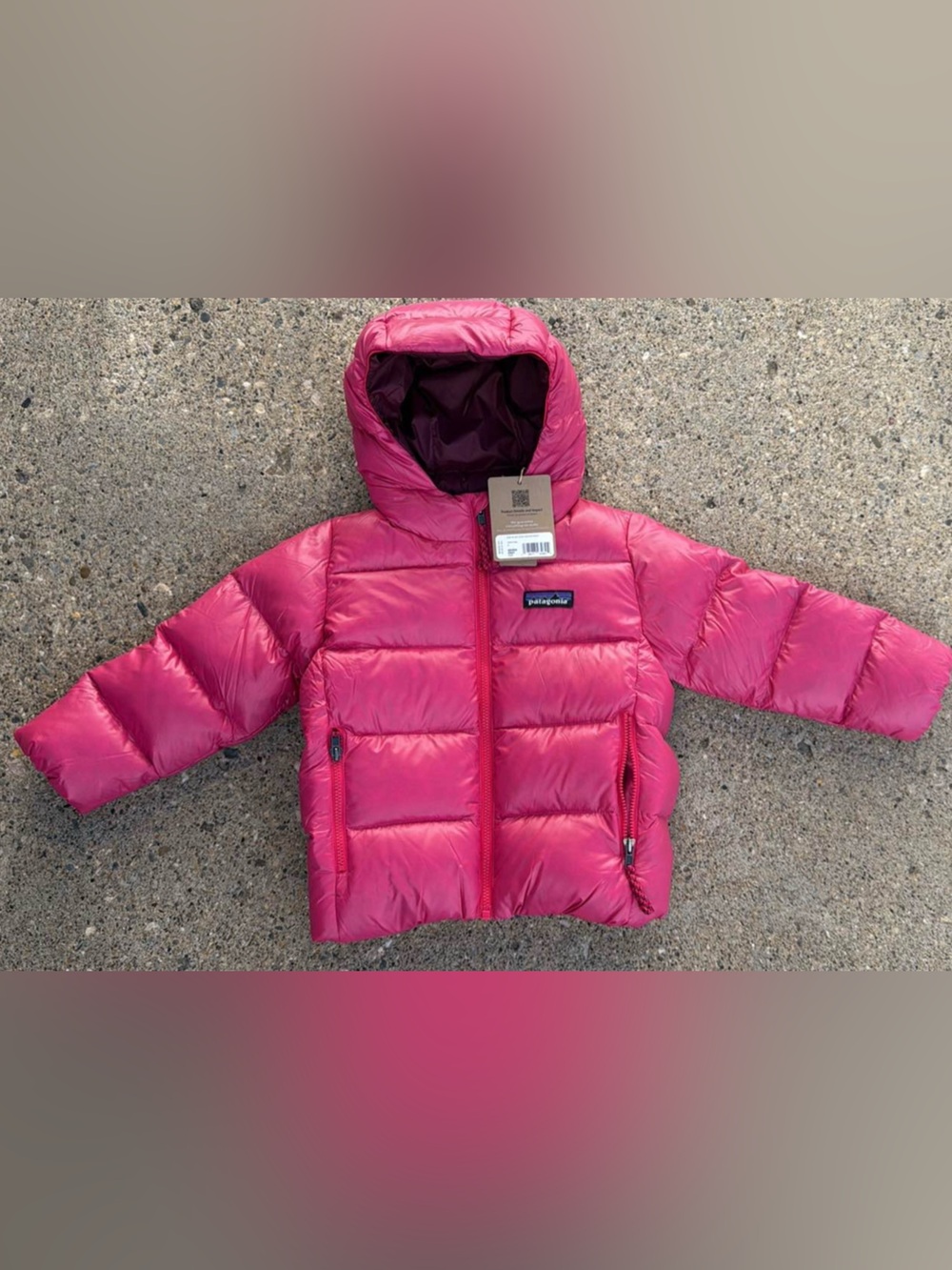 NWT Patagonia Hi-Loft Down Hoody